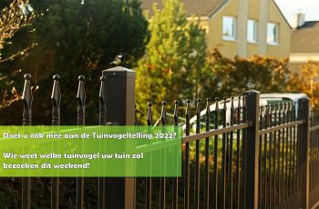 Tuinvogeltelling 2022 Tuinvogeltelling 2022