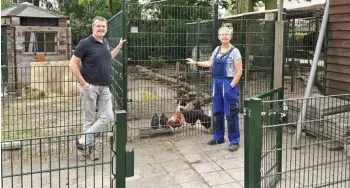 Dubbelstaafmat hekwerk op een kinderboerderij in Baarn