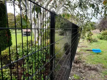 Dubbelstaafmat hekwerk in Ooltgensplaat Zuid Holland