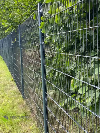 Dubbelstaafmat hekwerk geleverd en gemonteerd in weiland in Breda