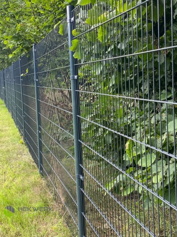 Dubbelstaafmat hekwerk geleverd in Breda, Noord-Brabant Dubbelstaafmat hekwerk geleverd en gemonteerd in weiland in Breda