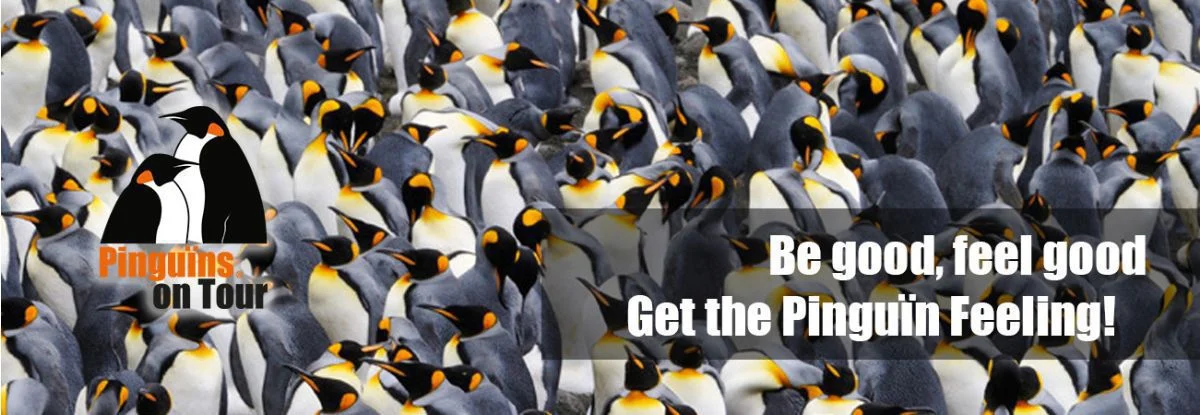 Pinguïns on tour - Goede doel
