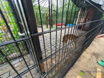 Dubbelstaafmat hekwerk geleverd voor kattenverblijf in Rosmalen